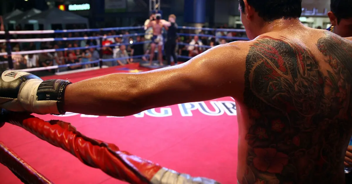 Best MMA Punching Bags Reviewed: Durability and Value