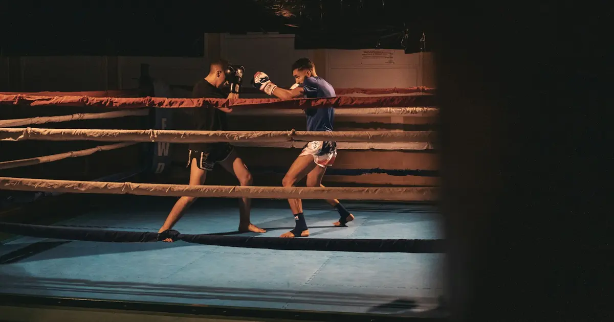 UFC 310 Knockout Kings: Essential Gear from Pereira's Leg Kick Masterclass