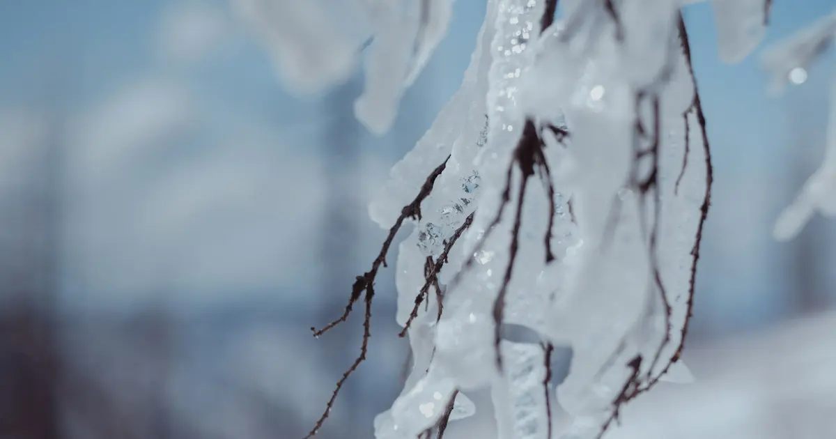 February Freeze-Proof Gear: Essential Winter Training Kit for UFC Camp Prep