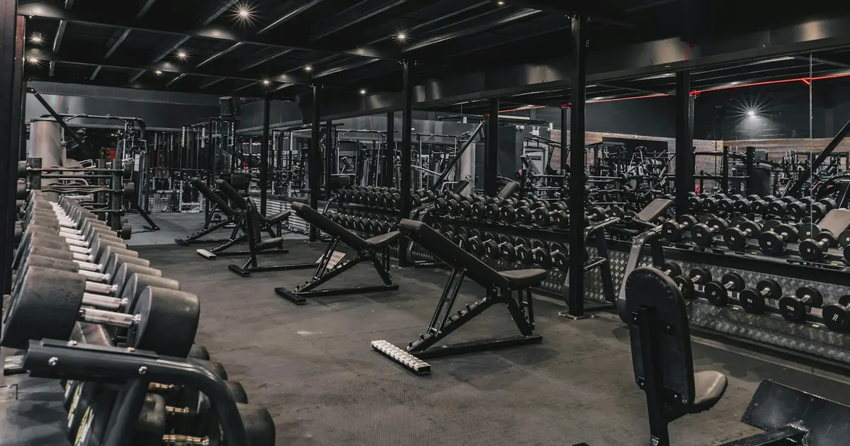 Ultimate MMA Home Gym Setup Guide: Essentials for Every Budget