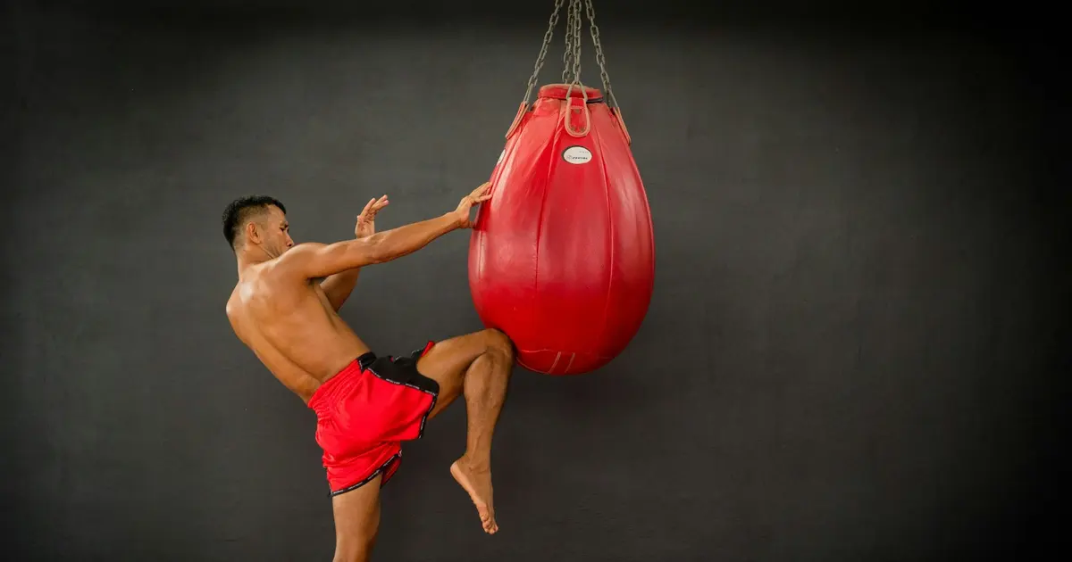 Best MMA Training Mats for Home and Gym Use