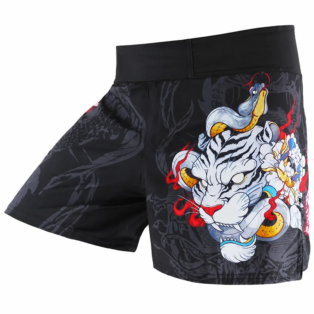 Apollo Outrider Fight Shorts